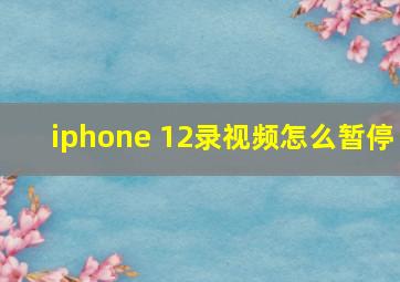 iphone 12录视频怎么暂停